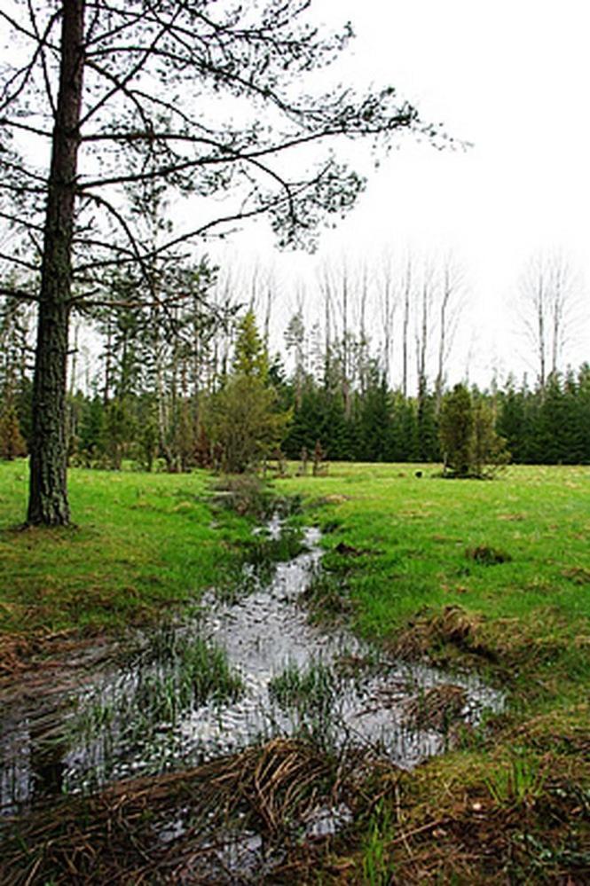 Farm stay Smultronboda Fargard Edsbruk